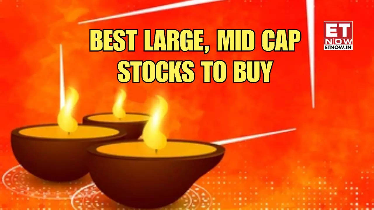 Large Mid Cap Stock To Buy Today Muhurat Trading Stock Picks