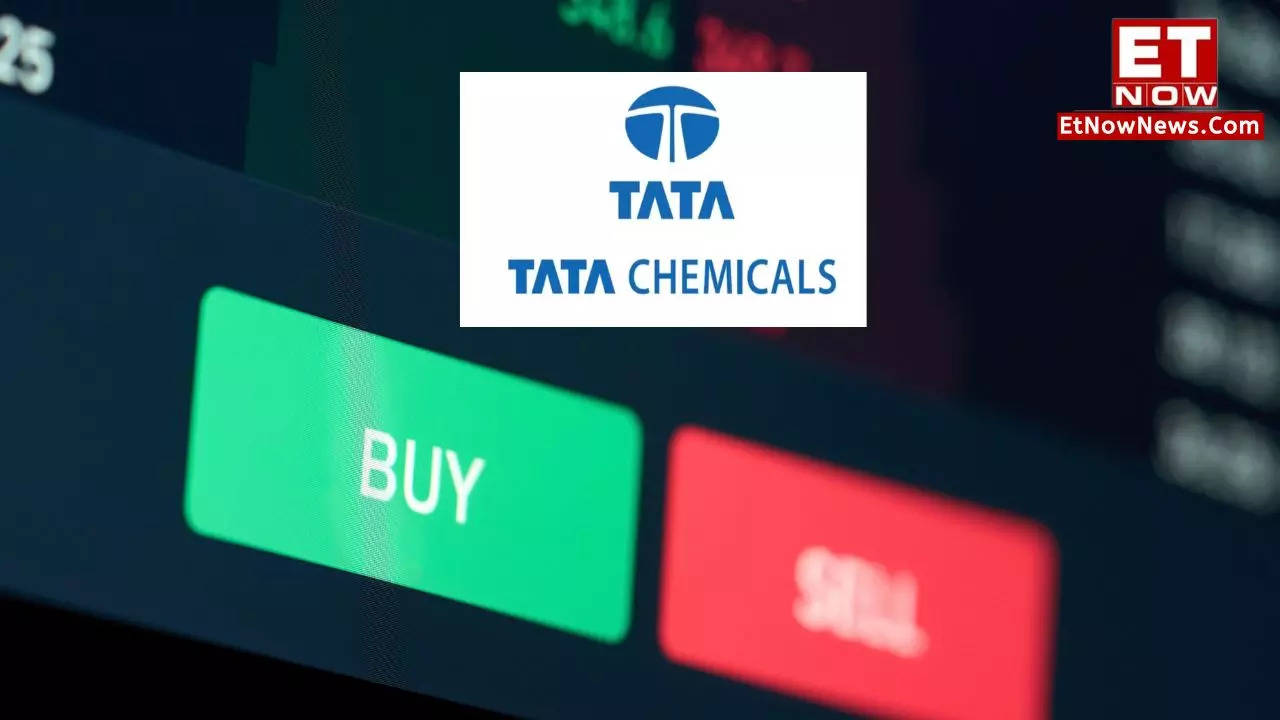 Tata Chemicals Share Price Target 2024 Rs 104 Crore IT Notice BUY