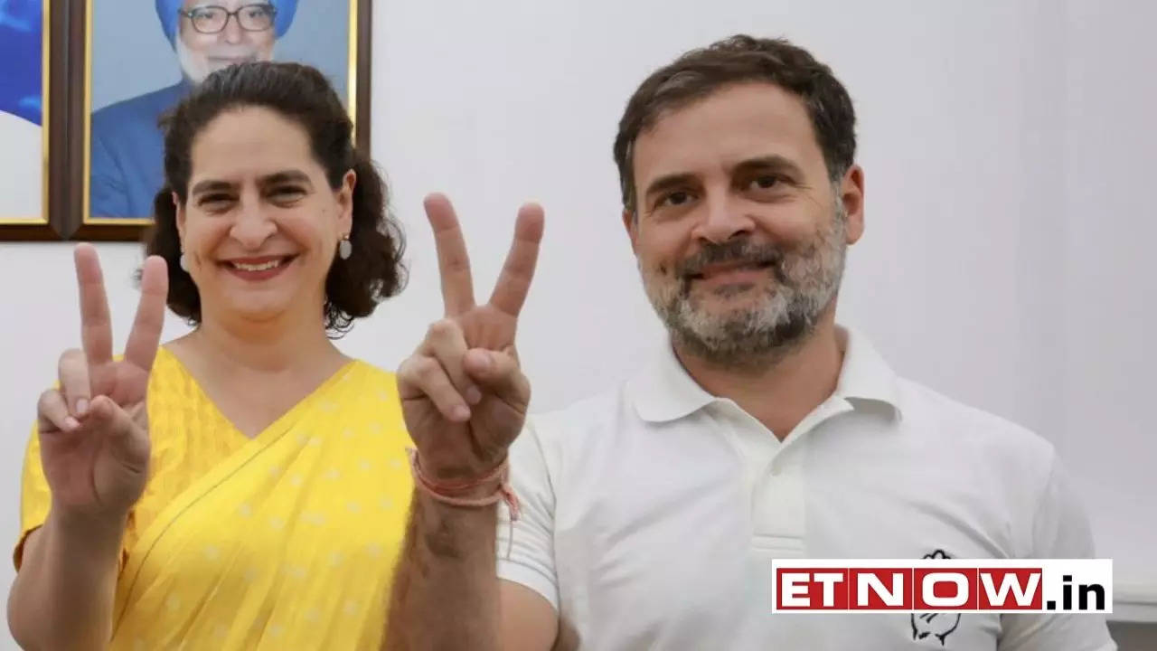 Priyanka Gandhi To Contest From Wayanad Lok Sabha Seat As Rahul Gandhi