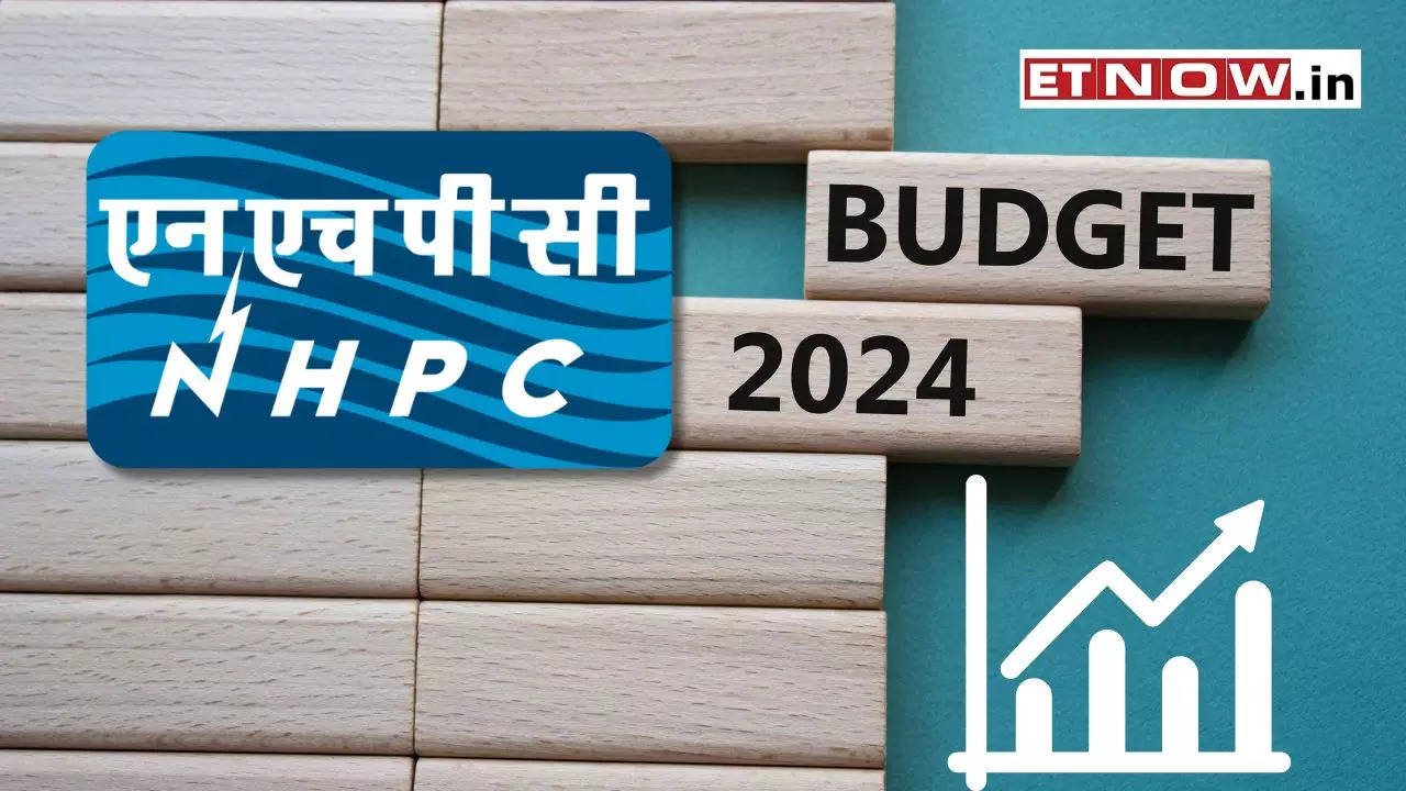 NHPC Share Price Target Till BUDGET Check Make Or Break Level For PSU