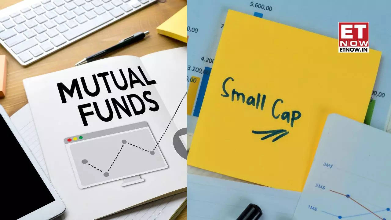 Small Cap Stocks What Mutual Funds Bought And Sold In October