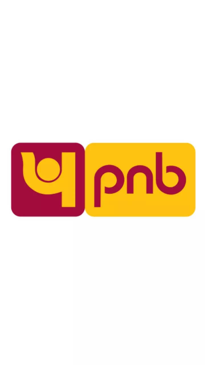 PNB Recruitment 2020 for Chief Risk Officer Posts, Download Punjab National  Bank Notification @pnbindia.in