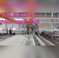 Tata Steel Share Price Target 2023 What shareholders and stock market