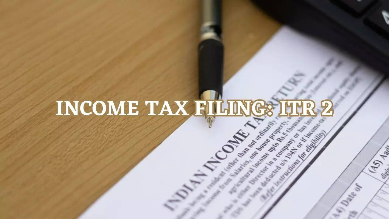 Income Tax Filing Online