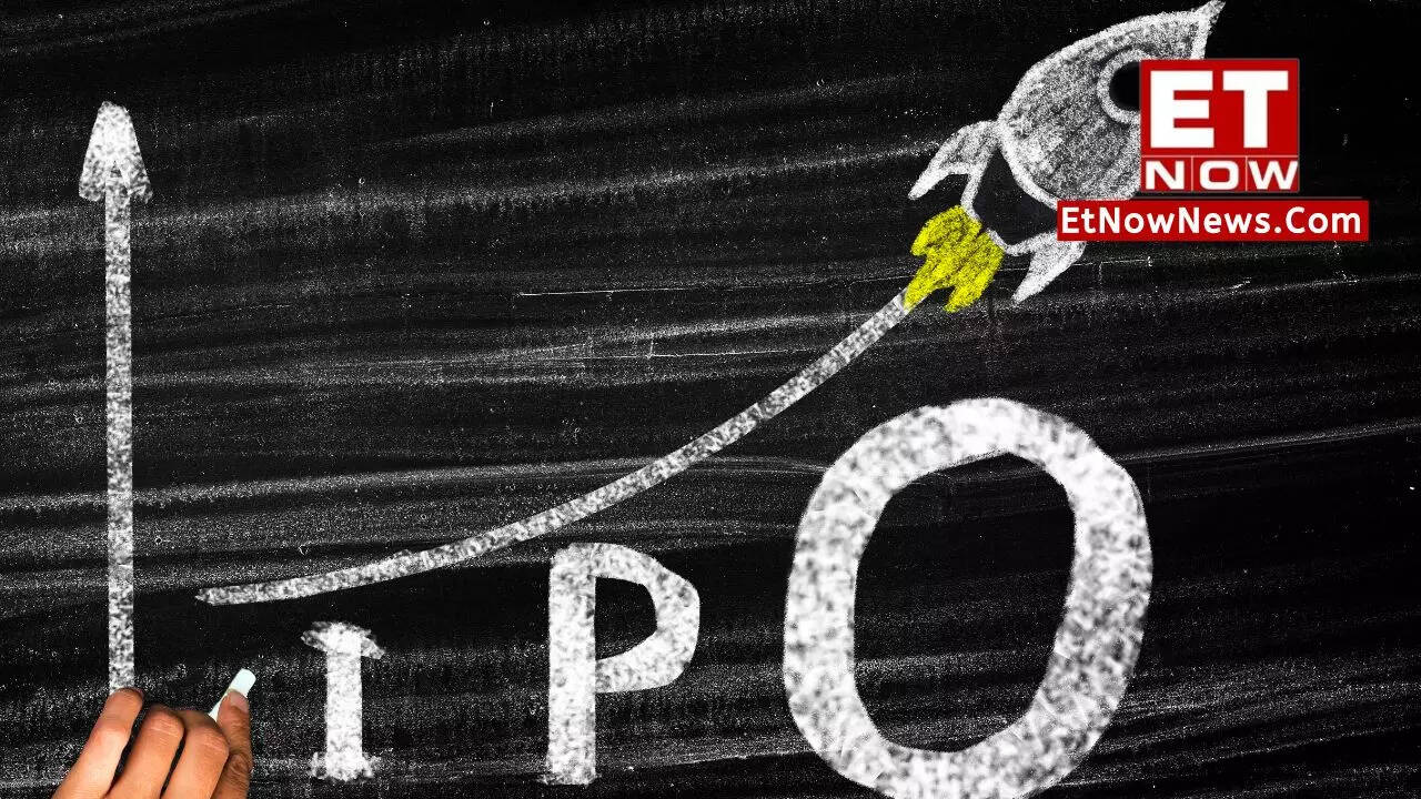 IPO Allotment Status: How To Check IPO Allotment Status Online On Link ...