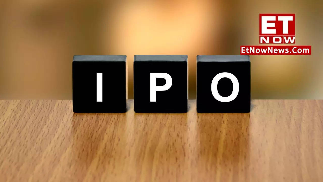 IPO Allotment Status How to check IPO allotment status online on