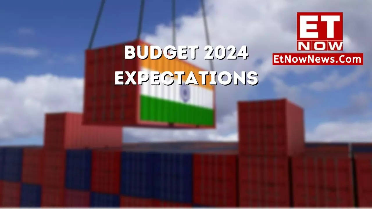 Interim Budget 2024 'Given government's focus on exports, we think