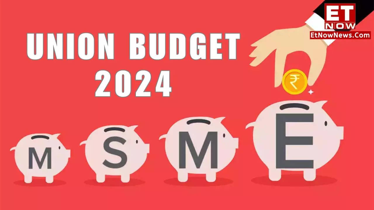 Budget Expectation 2024 MSME expects special package from FM Nirmala