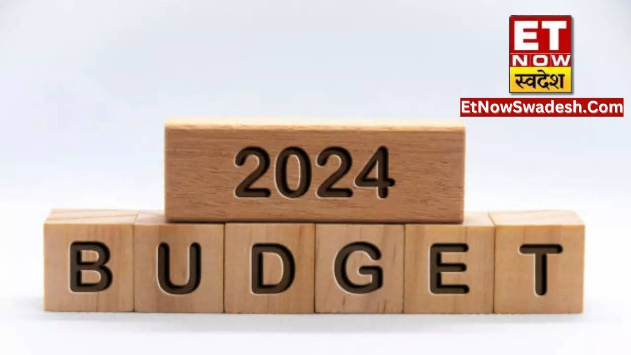 Budget 2024 क्यों होती है बजट में Disinvestment की चर्चा? Union