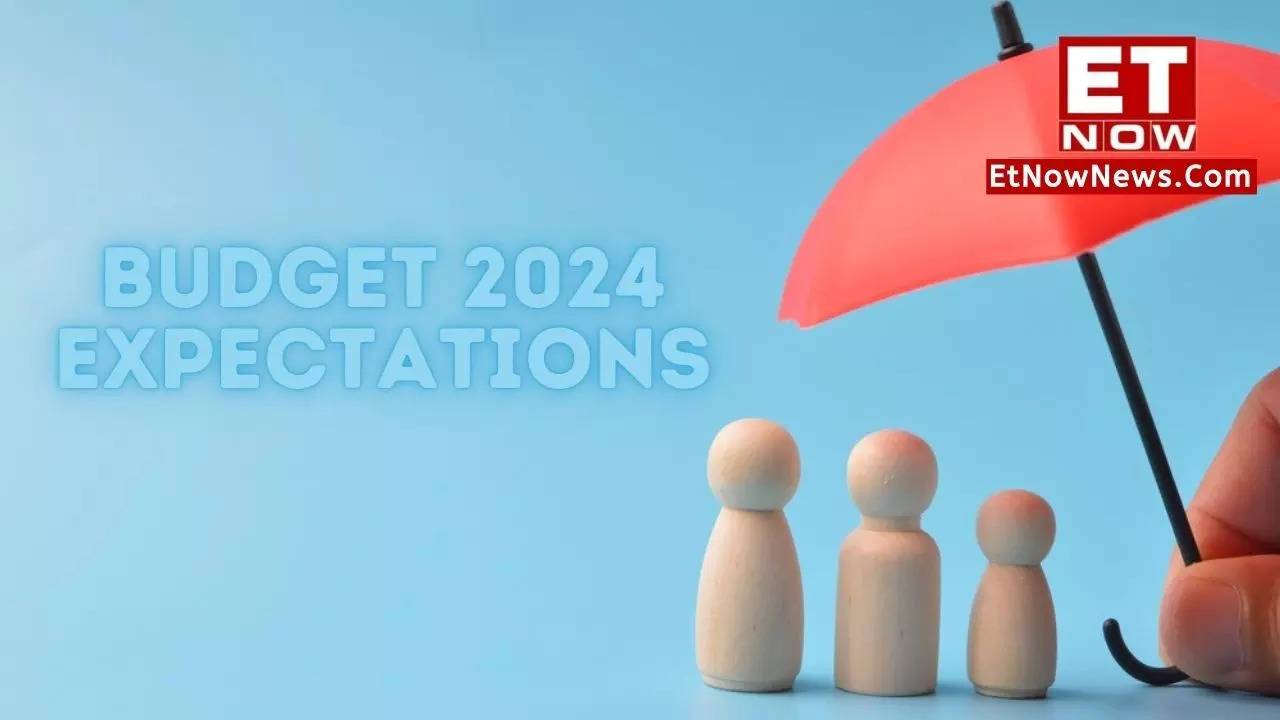 Budget 2024 Separate Exemption Category For Term Insurance GST Rates   107077224 