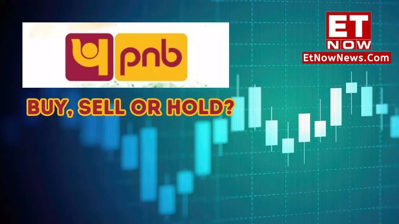 PNB share price target 2024 235 jump in Q3 FY24 net profit! Rs 100