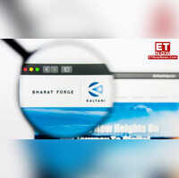 Bharat share price target 2024 Stock slumps 5 despite 220 jump