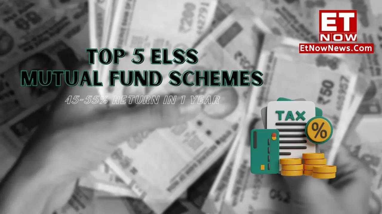 Top ELSS mutual funds to invest in 2024 4555 return in just 1 year