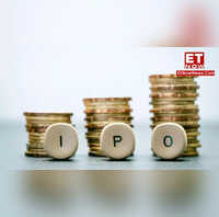 MVK Agro Food IPO Check latest GMP lot size issue price allotment date listing date and more