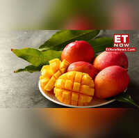 The King of Fruits! Most expensive mango varieties found in India ET
