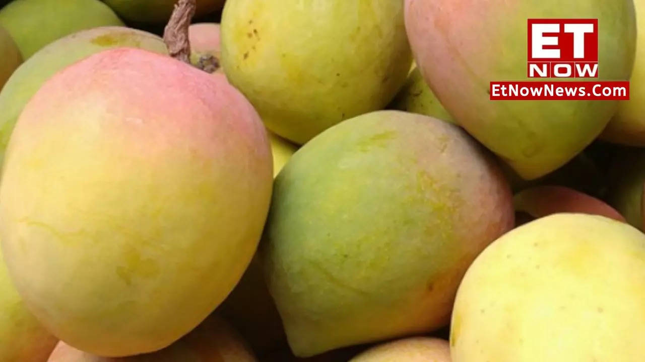 The King of Fruits! Most expensive mango varieties found in India - ET ...