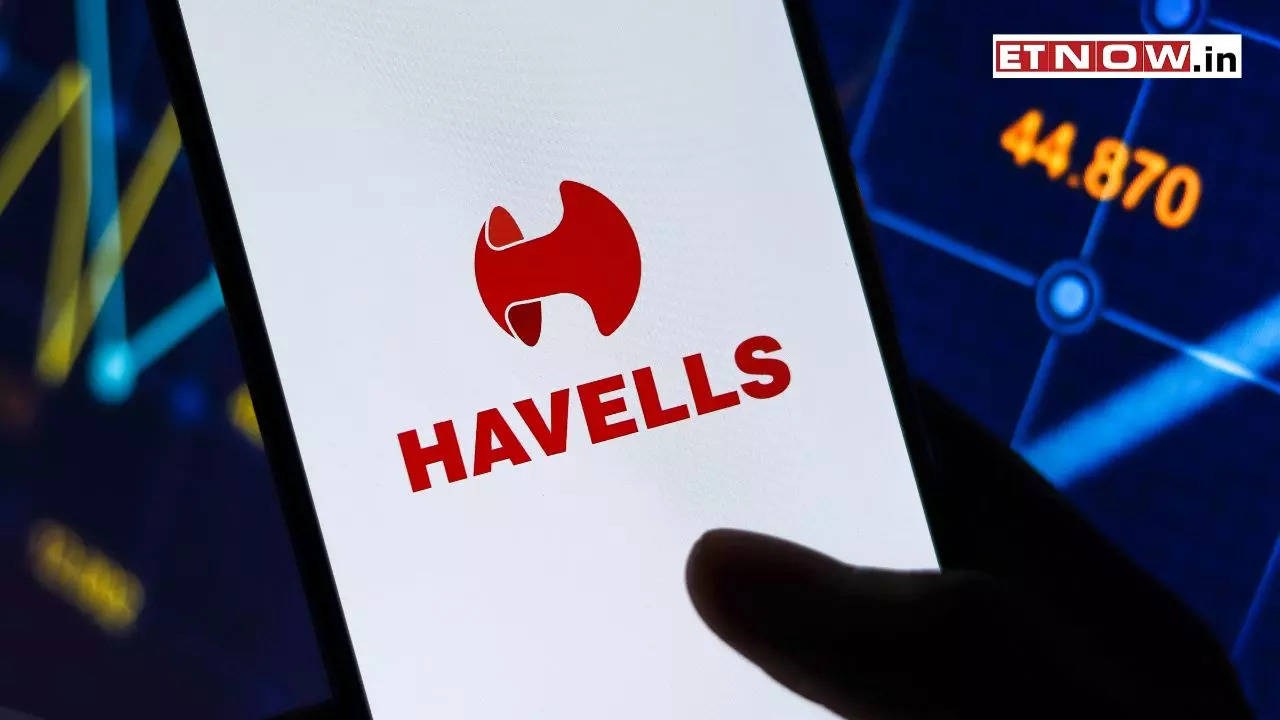 Havells India share price target 2024: Net profit soars 43% YOY in Q1 ...