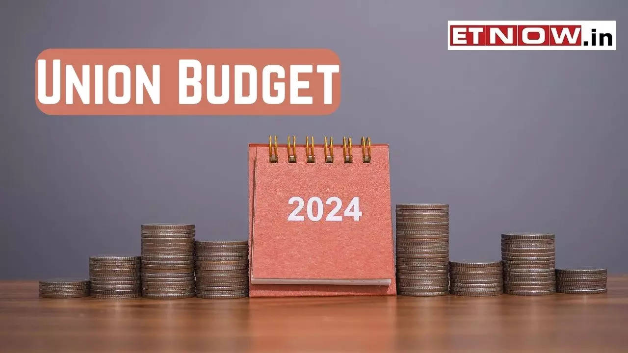 Union Budget 2024 KEY terms to watch in FM Nirmala Sitharaman's Budget