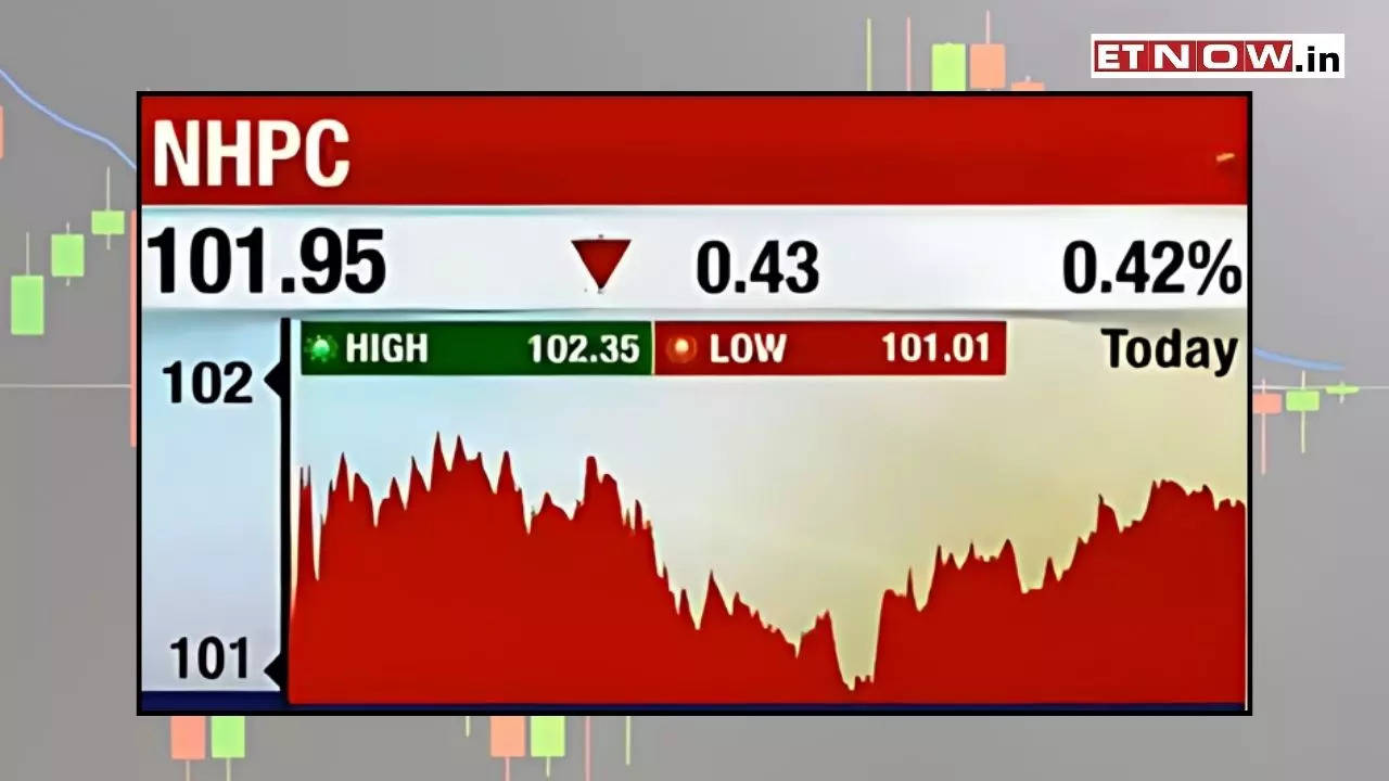 NHPC Share Price Target Book profit or HOLD after BUDGET? Know