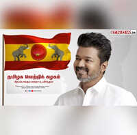 ‘Why does it look like…’ Actorpolitician Thalapathy Vijay’s TVK