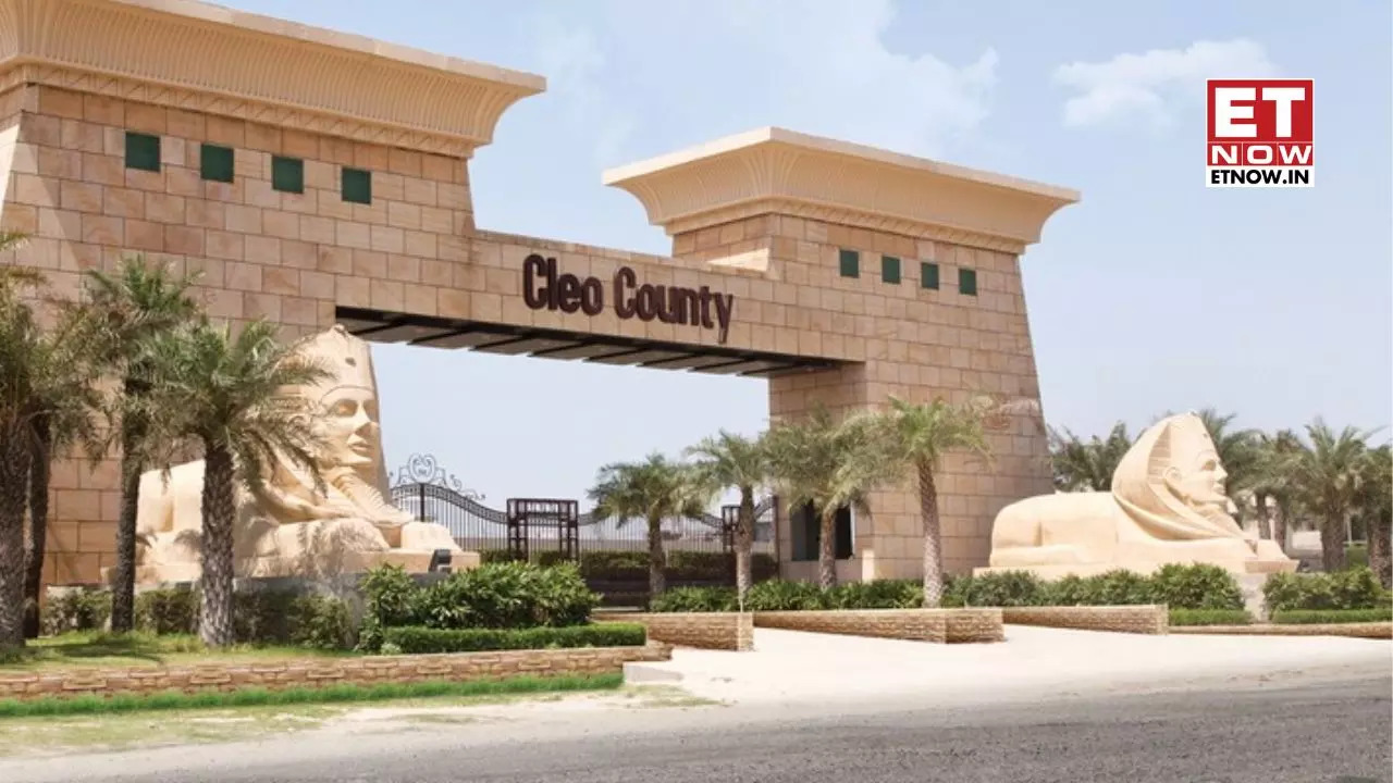 Cleo County Design