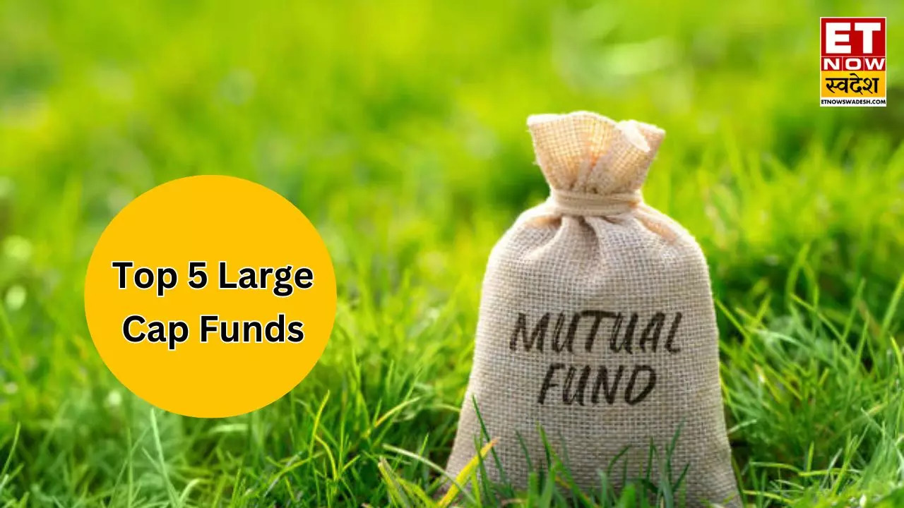 Return of Baroda BNP Paribas Large Cap Fund