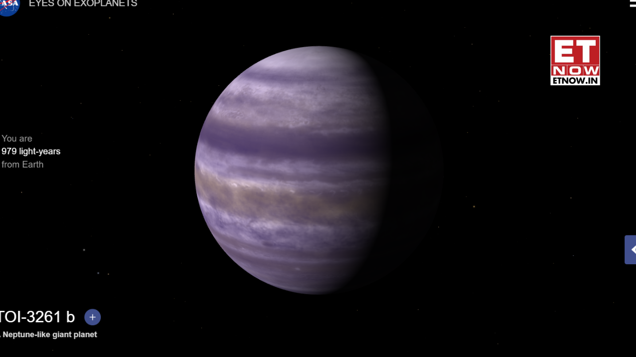 Neptune-like star TOI-3261 b