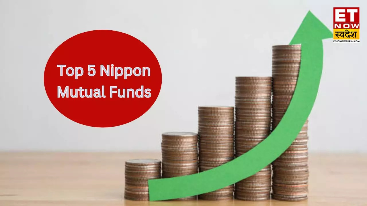 Returns of Nippon India Vision Fund