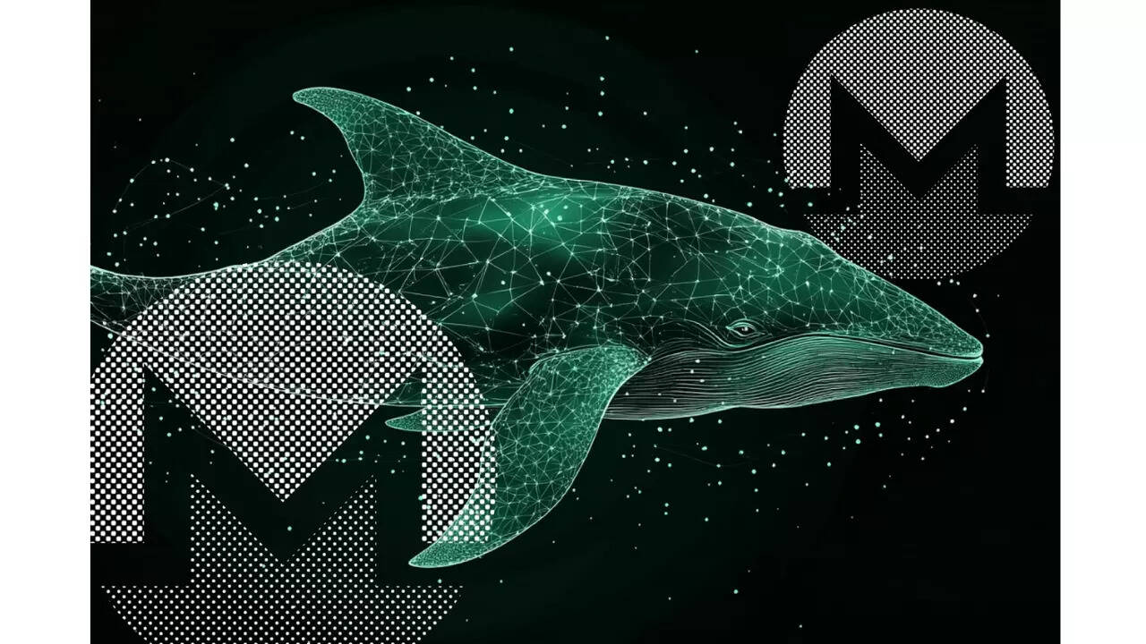 2025 Crypto Predictions: Monero And Lunex Network Expected To Rally But ...