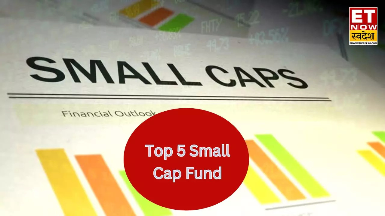 Invesco India Smallcap Fund Returns