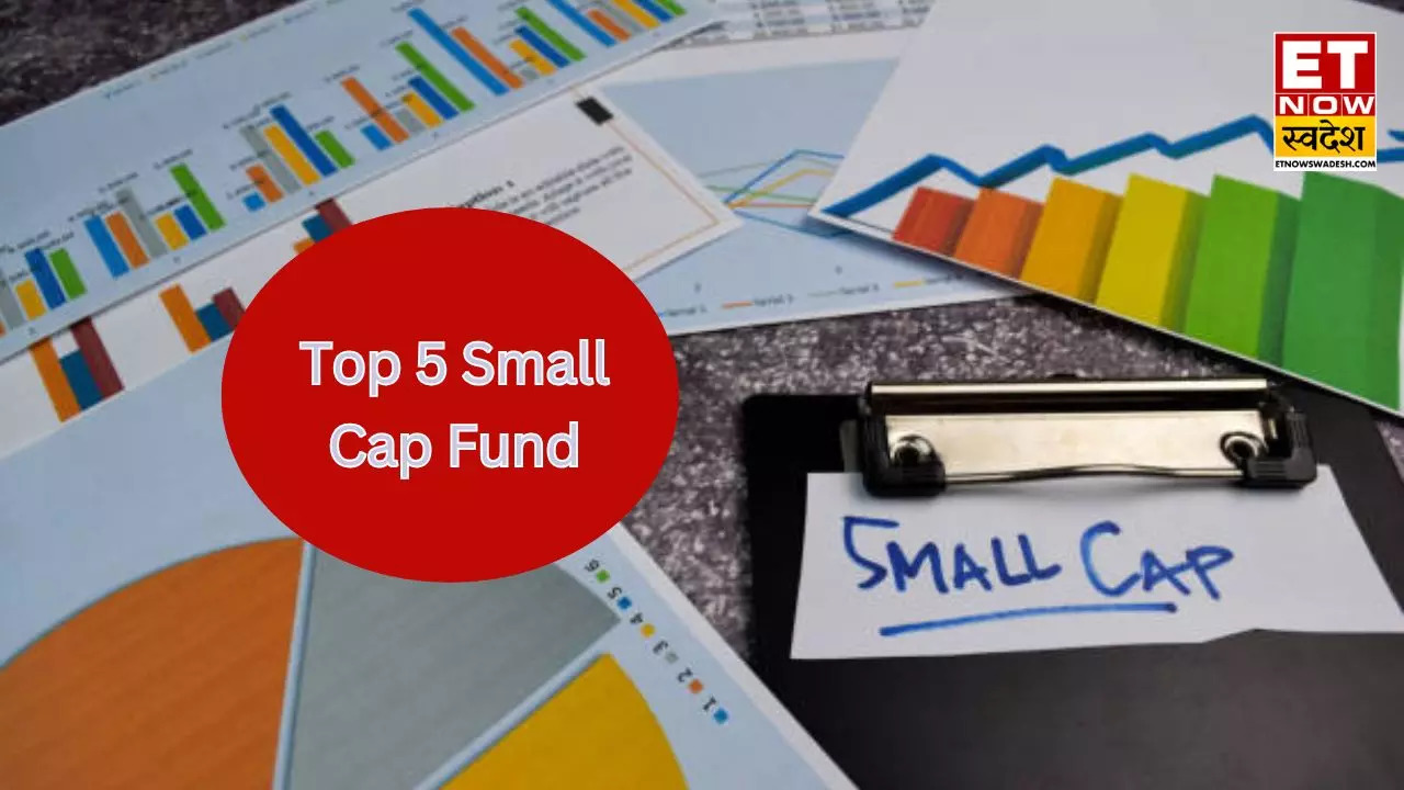 LIC MF Small Cap Fund Returns