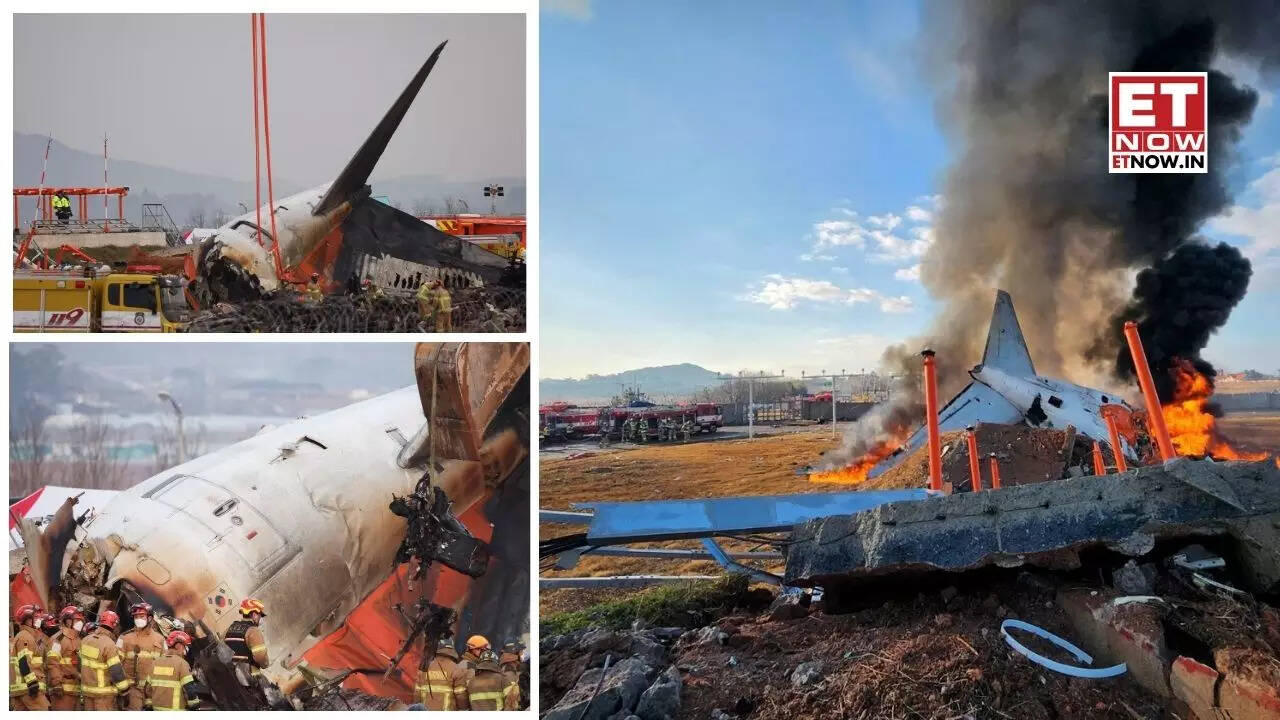 South Korean Plane Crashes Bird strike, bad weather reasons behind