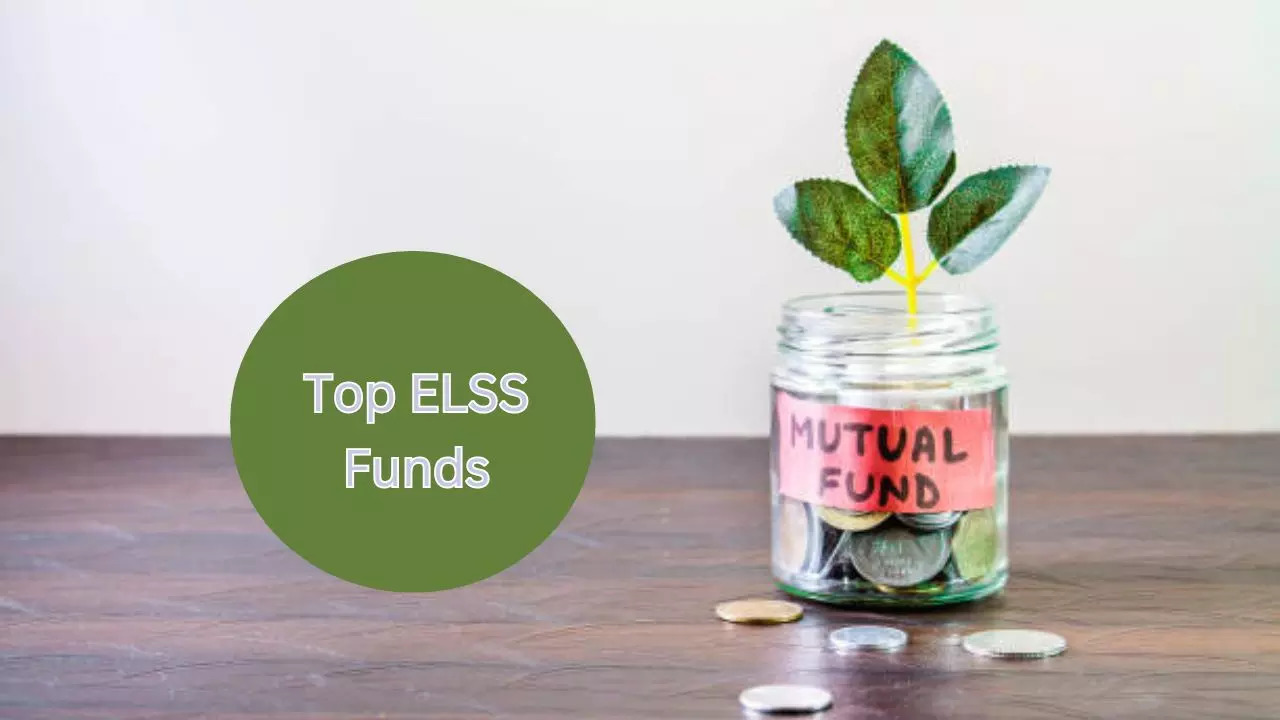 Return of Motilal Oswal ELSS Tax Saver Fund