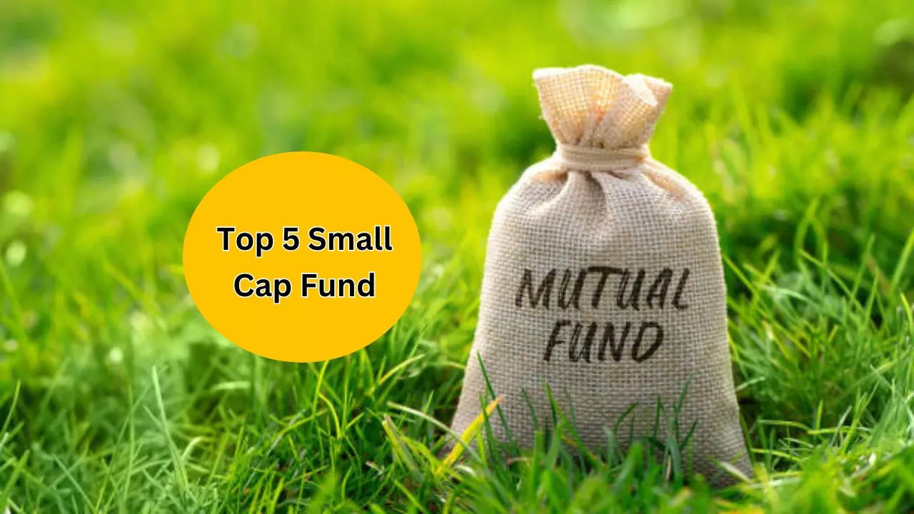 Returns of Nippon India Small Cap Fund