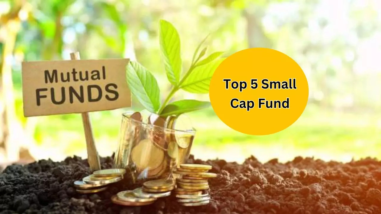 Returns of Axis Small Cap Fund