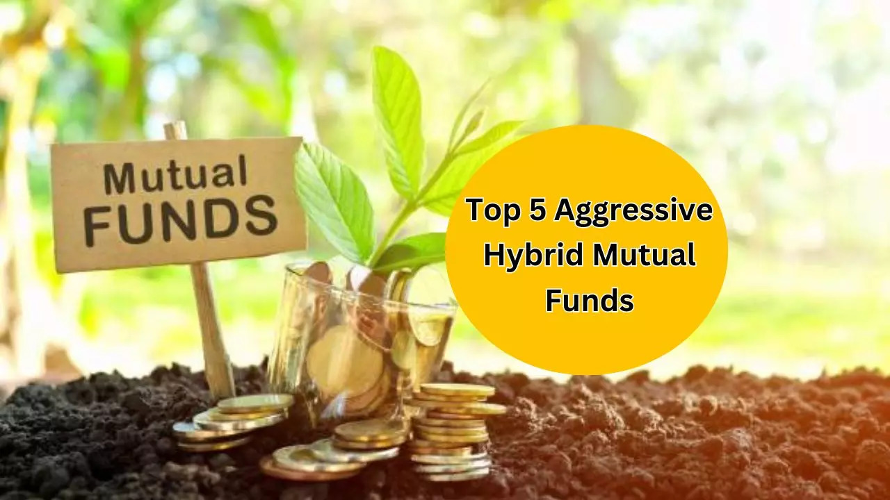 DSP Aggressive Hybrid Fund Returns