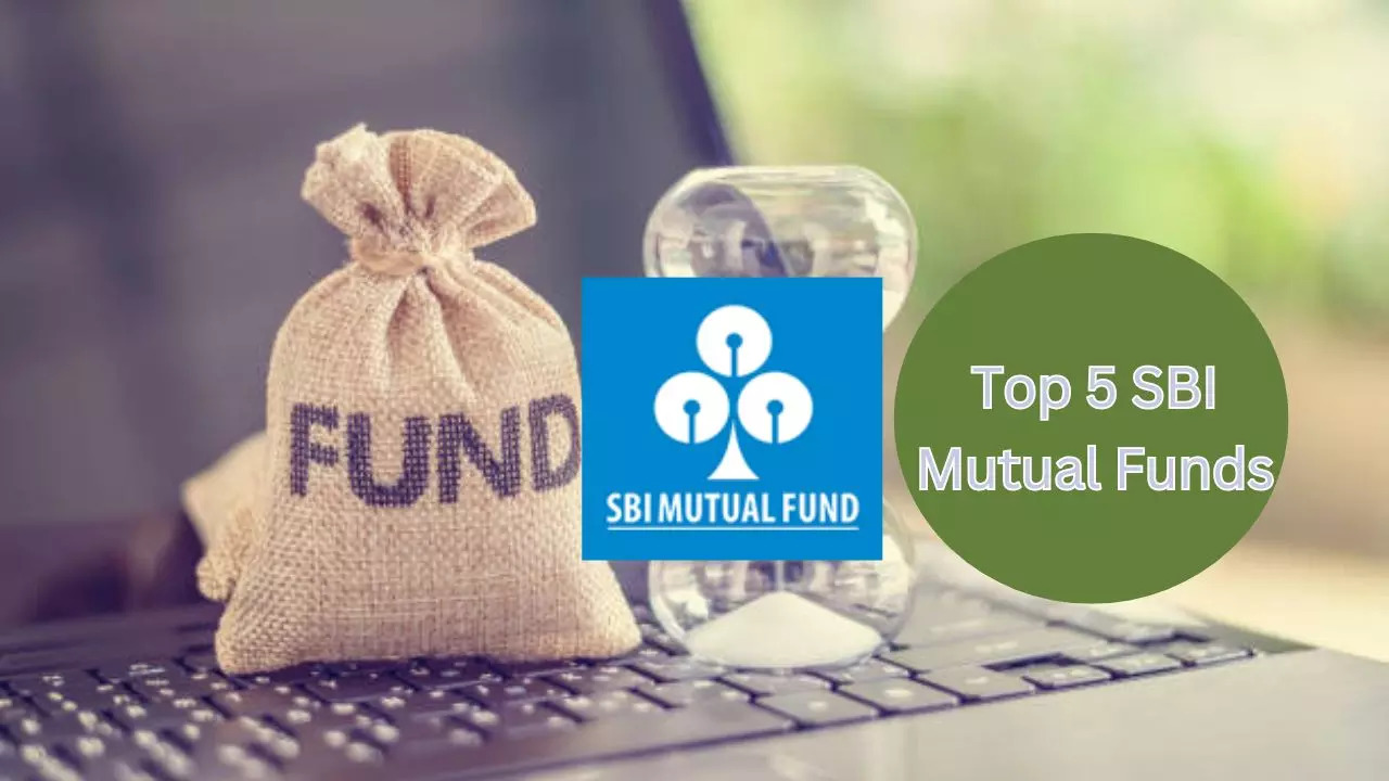 SBI Multicap Fund Returns