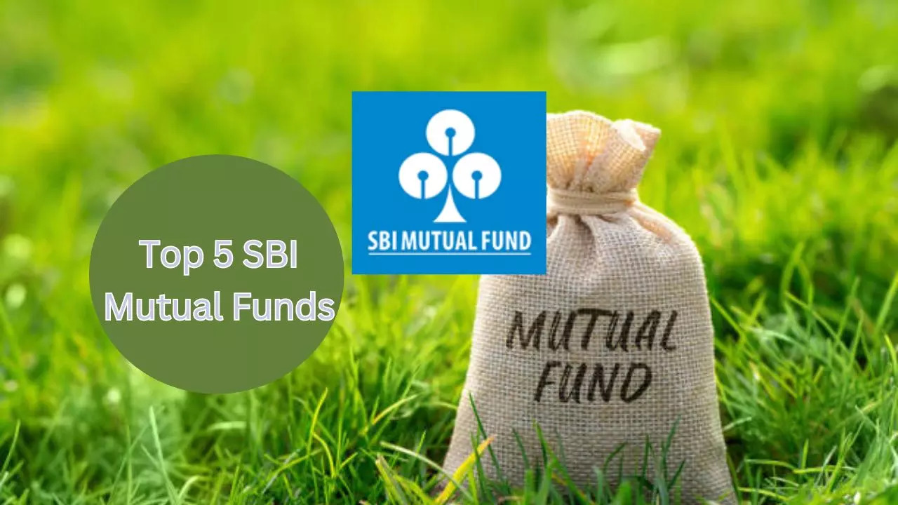 SBI Banking  Financial Services Fund Returns