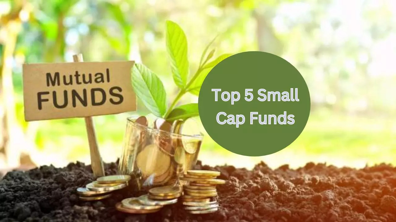 10 year return of Quant Small Cap Fund