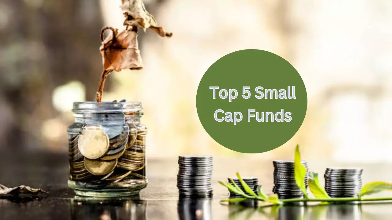 10 year return of HDFC Small Cap Fund