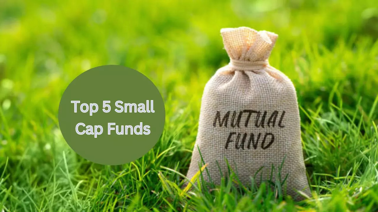 10 year return of Nippon India Small Cap Fund