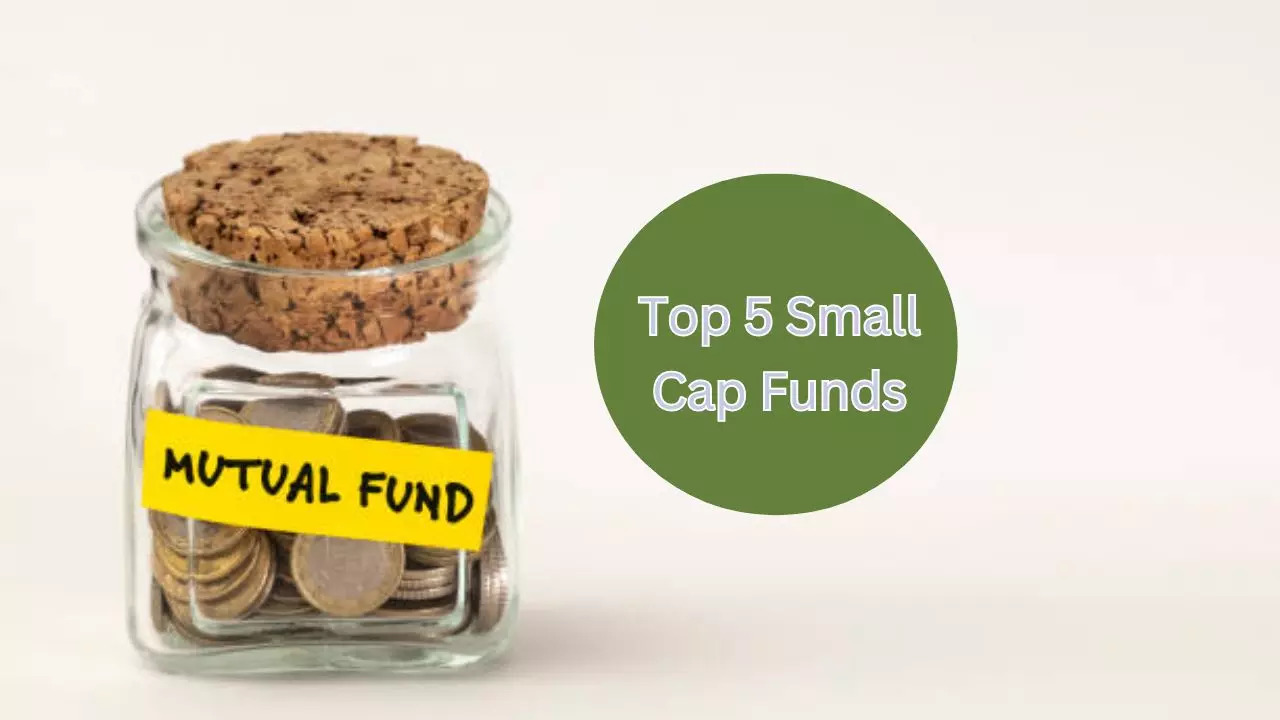 10 year return of SBI Small Cap Fund