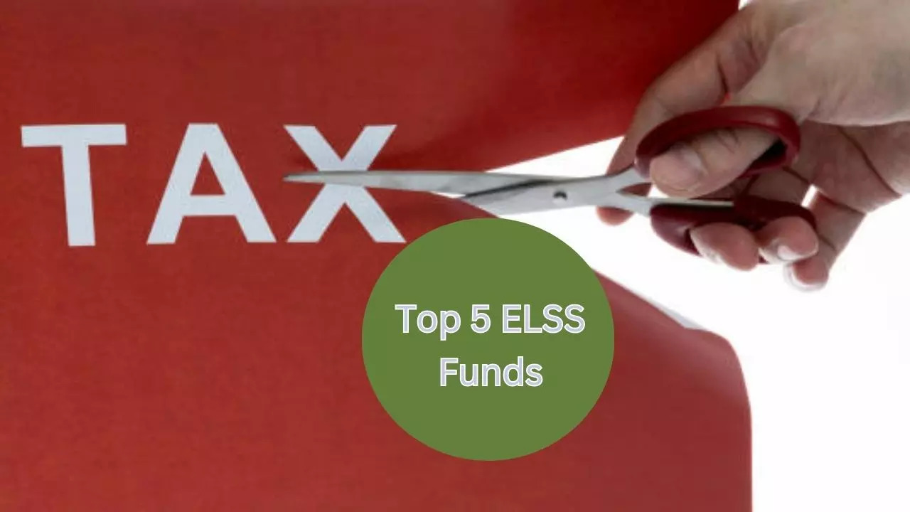 Return of Motilal Oswal ELSS Tax Saver Fund