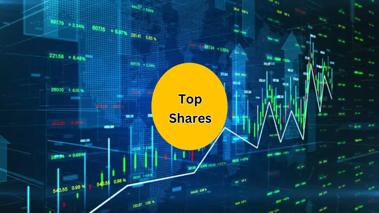 Naturite Agro Products Share Returns