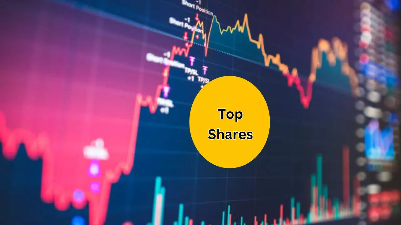 OLYMPIC OIL INDUSTRIES Share Return