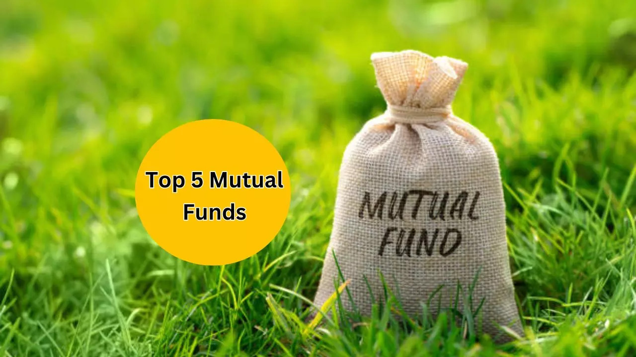 Returns of SBI Multicap Fund