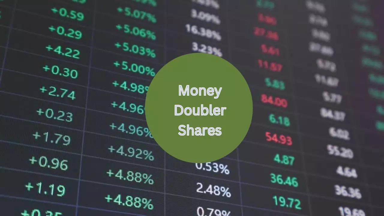 Returns of YASH TRADING  FINANCE LTD