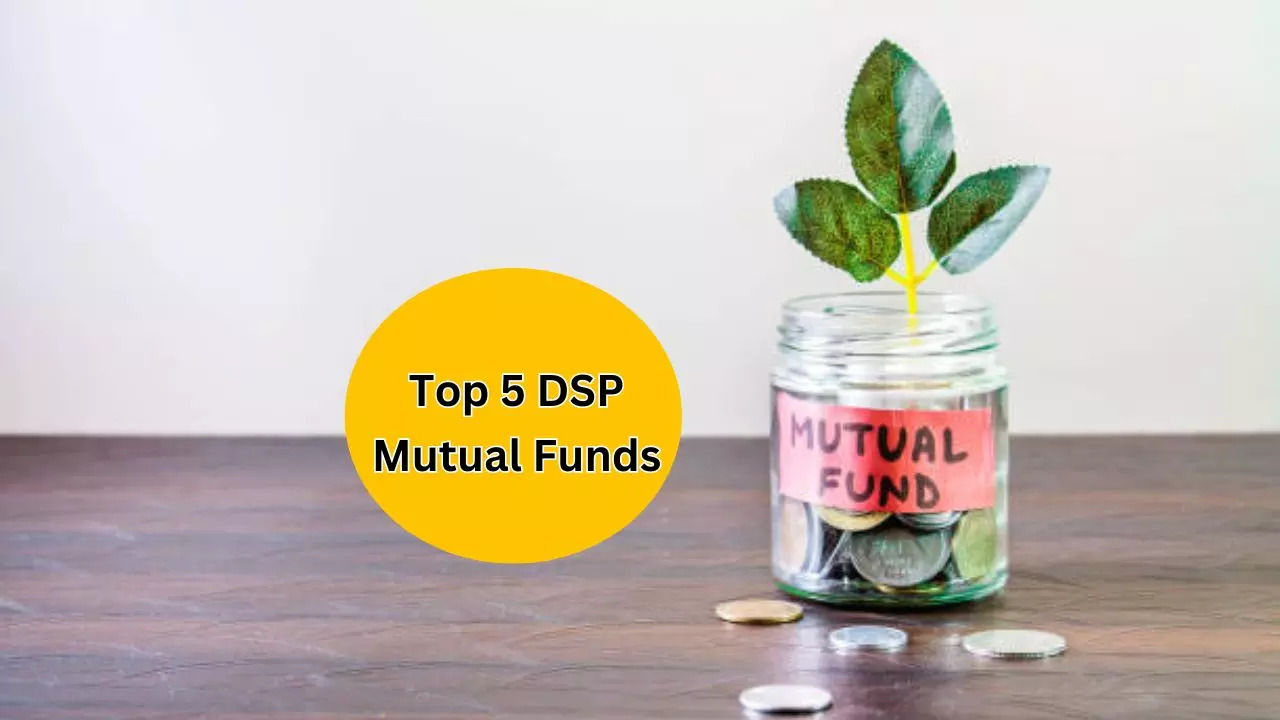 Return of DSP Global Allocation FoF