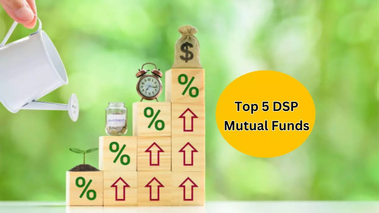 Return of DSP US Flexible Equity Fund