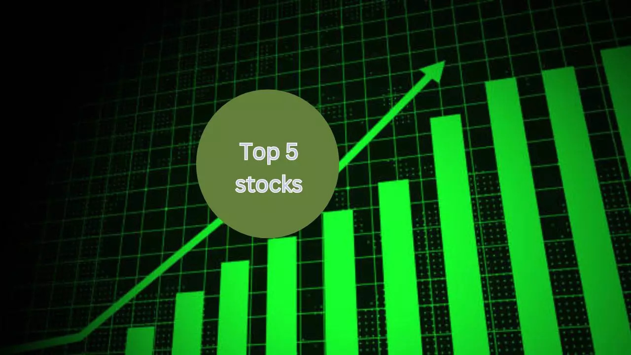 RDB Real Estate Constructions Share Return